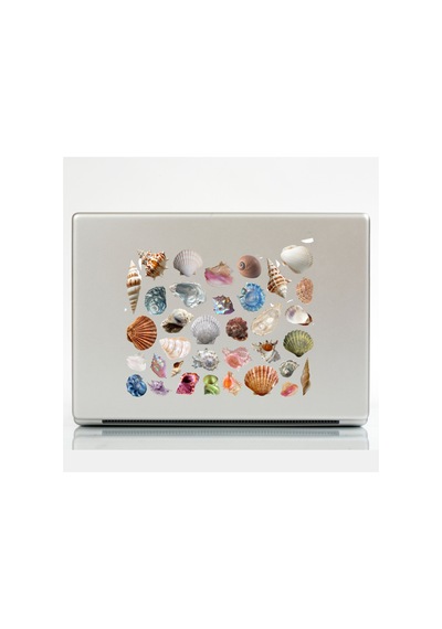 65 Adet Deniz Kabuğu İstridye Aqua Sualtı Sticker Seti - Etiket Seti Scrapbook Bullet Journal Çok Renkli
