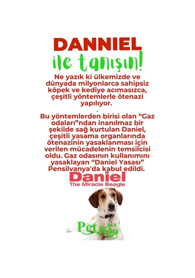 Petjoo 21.Danniel Yeşil-Kırmızı Qr'lı Köpek Künyesi