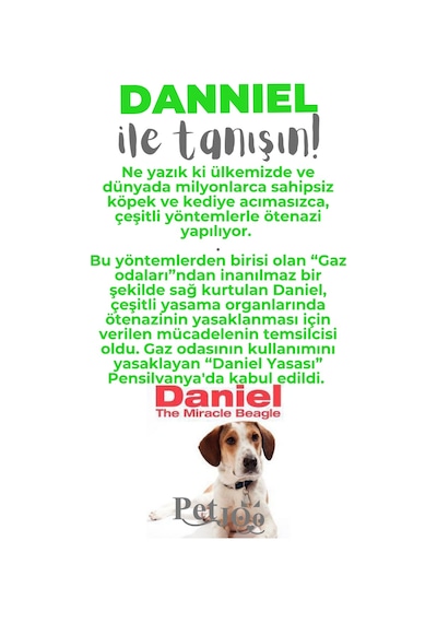 Petjoo 21.Danniel Gri-Yeşil Qr'lı Köpek Künyesi