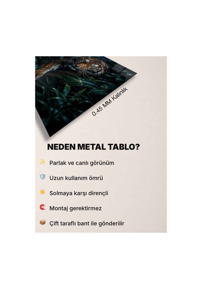 Kaplan Metal Poster Dolunay Ve Tropikal Orman Manzaralı Vahşi Hayvan Dekoratif Duvar Tablosu Çok Renkli - 938045792 Çok Renkli - 938045792 Çok Renkli