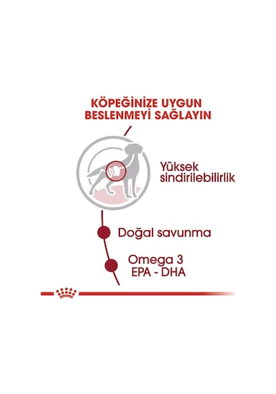Royal Canin Medium Adult Tavuklu Yetişkin Köpek Maması 10 x 140 G