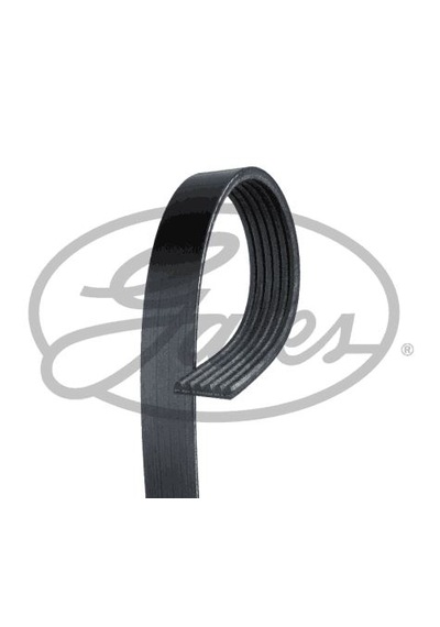 Dayco 6pk975 V Kayış Peugeot Citroen Ford