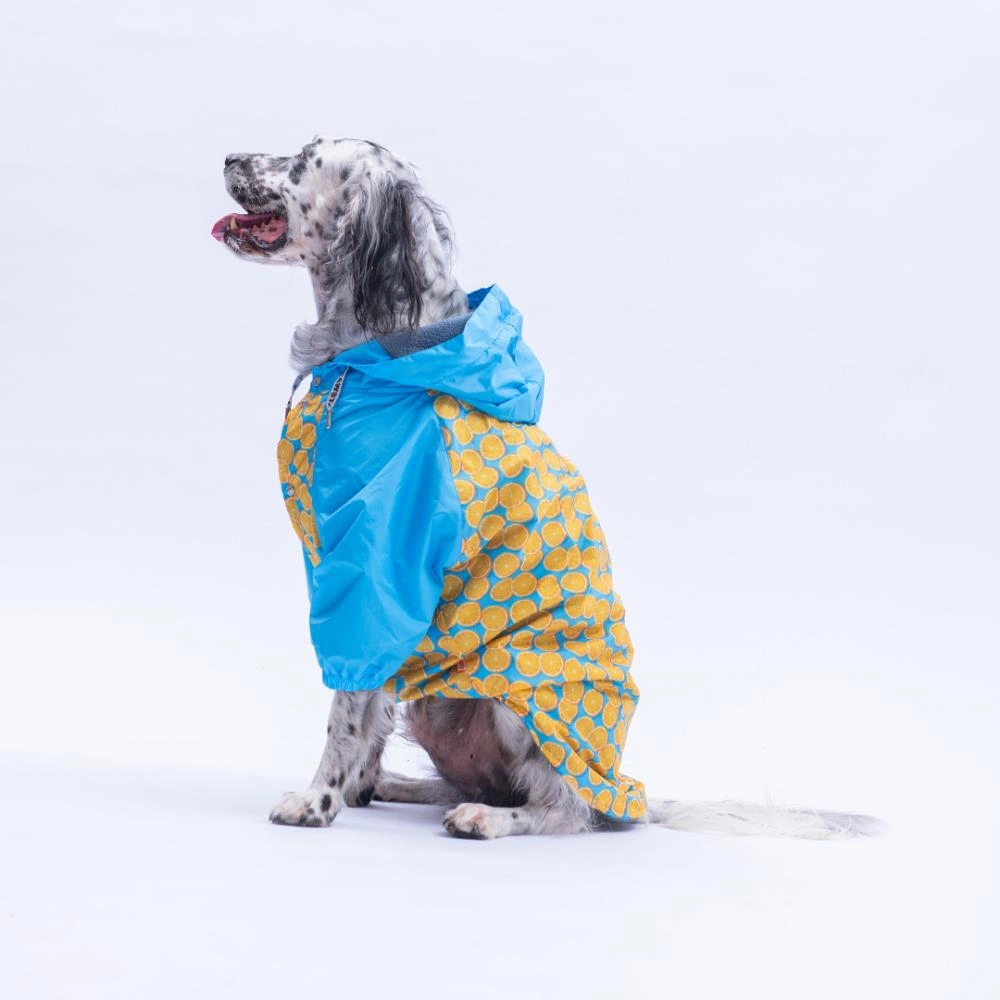 Nice Citrus Narenciye Desenli Büyük Irk Köpek Montu Köpek Yağmurluğu Köpek Kıyafeti Köpek Elbisesi