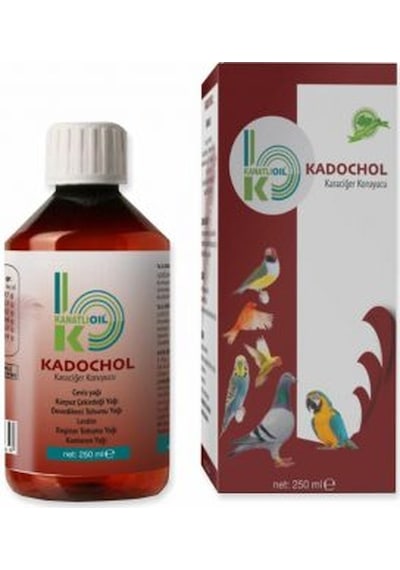 Kanatlı Oil Kadochol Karaciğer Koruyucu 250 ML