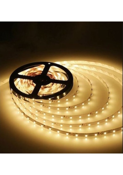 Cata Ct-4481 5 Metre 10 Çip Şerit Led Iç Mekan Gün Işığı