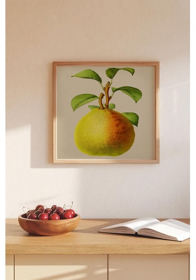 Ahşap Çerçeveli Mdf Kare Tek Tablo Kendi Tablo Setinizi Oluşturacağınız Liste Mutfak 23 X 23 Çerçeveli Tx1064 Ahşap Çerçeveli Mdf Kare Tek Tablo Kendi Tablo Setinizi Oluşturacağınız Liste Mutfak 23 X 23 Çerçeveli Tx1064