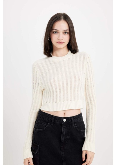 Defacto Regular Fit Crop Bisiklet Yaka Örgü Delikli Triko Kazak C6321AX24WNER103 Ekru