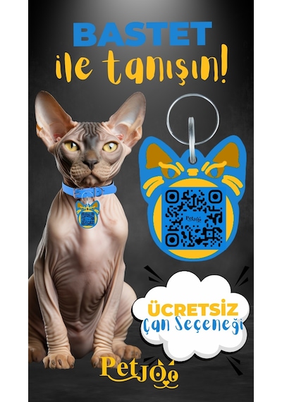 Petjoo 1.Bastet Sarı-Mavi Qr'lı Kedi Künyesi