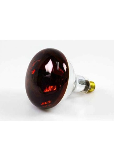 Tungsram 250W Infrared Kırmızı Ampul E27