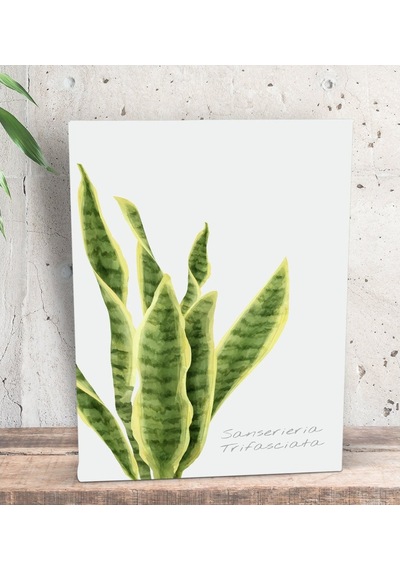 Bk Gift Green Plant Tasarımlı Dekoratif Mini Kanvas Tablo 15X20Cm (506660603)
