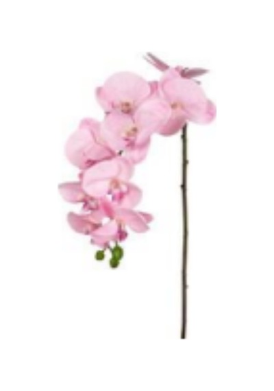 Yapay Çiçek Orkide Gerçek Dokulu Pembe 95 Cm. Çok Renkli