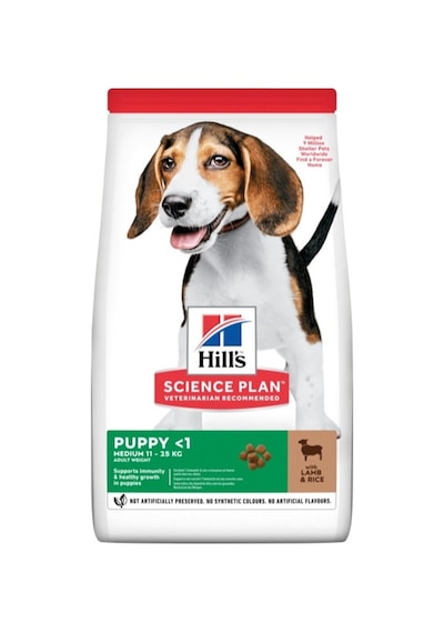 Hill's Puppy Kuzu Etli Orta Irk Yavru Köpek Maması 14 KG
