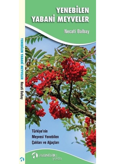 Yenebilen Yabani Meyveler - Necati Balbay - Avantür