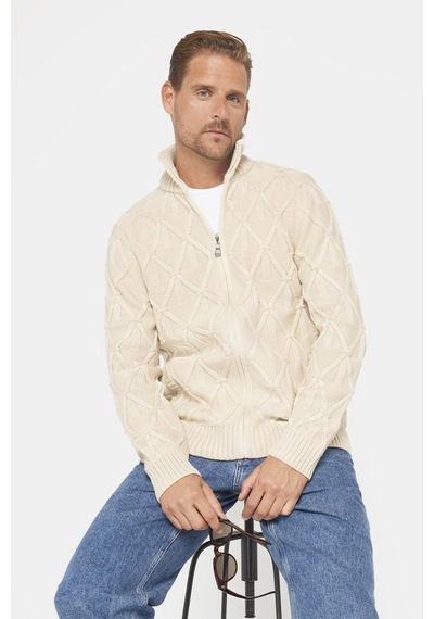 Tudors Slim Fit Desenli Dik Yaka Fermuarlı Erkek Bej Hırka-30830-bej Bej