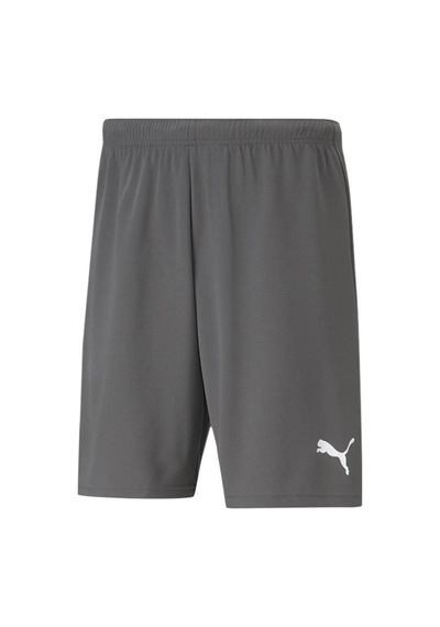 Puma Teamrise Short Erkek Şortu 70494213 Gri
