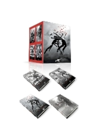 Hush Hush Serisi Seti 4 Kitap Becca Fitzpatrick