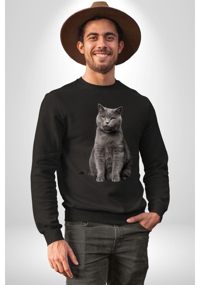 British Shorthair Kedi Unisex Siyah Sweatshirt Siyah