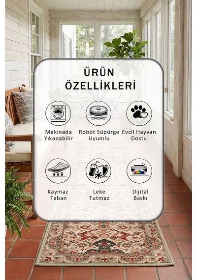 Yıkanabilir Yolluk 6 Vizon