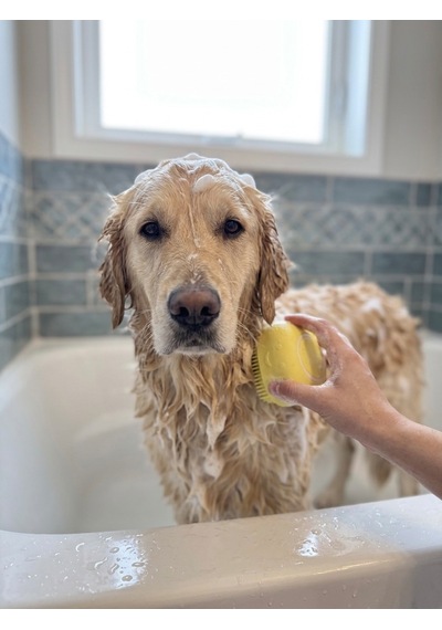 Şampuan Hazneli Kedi Köpek Yıkama Fırçası - Canlı Sarı Yumuşak Silikon Masaj Aparatı