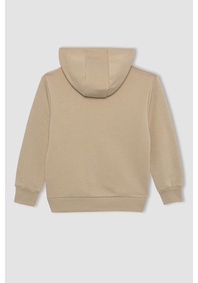 Defacto Erkek Çocuk Baskılı Kapüşonlu Kalın Sweatshirt B8998A823CWBG281 Çok Renkli Defacto Erkek Çocuk Baskılı Kapüşonlu Kalın Sweatshirt B8998A823CWBG281 Çok Renkli