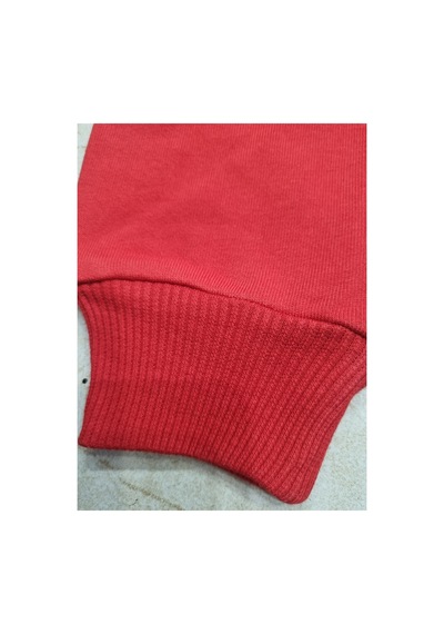 Uğur Bebe Unisex Çocuk Kırmızı Renk Sonic The Hedgehog Baskılı 3 İplik Şardonsuz Sweatshirt Sonic Baskılı %100 Pamuk Bisiklet Yaka Uzun Kollu Kırmızı Kırmızı Uğur Bebe Unisex Çocuk Kırmızı Renk Sonic The Hedgehog Baskılı 3 İplik Şardonsuz Sweatshirt Sonic Baskılı %100 Pamuk Bisiklet Yaka Uzun Kollu Kırmızı Kırmızı
