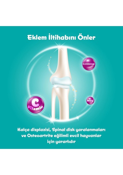 Ayrex Solomon Glucosamine Tablet Kedi Ve Köpekler İçin Eklem Ve Kas Sağlığı Tamamlayıcı Glukozamin Takviye Gıda