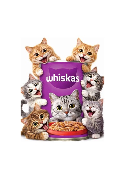 Whiskas Kedi Maması Konserve Biftekli 400 Gr 2 Adet