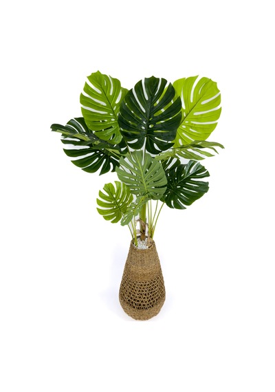 Biçiçek Yapay Monstera Ağacı Deve Tabani 180 Cm Bohem Saksıda