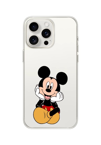 iPhone Uyumlu 16 Pro Desen234 Çok Renkli