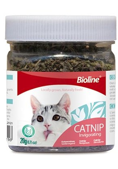 Semeglbl Bioline Catnip Kedi Otu 20 Gr