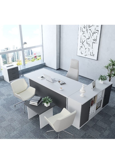 Pasha 4'lü Ofis Takımı  Model 6 Beyaz Füme