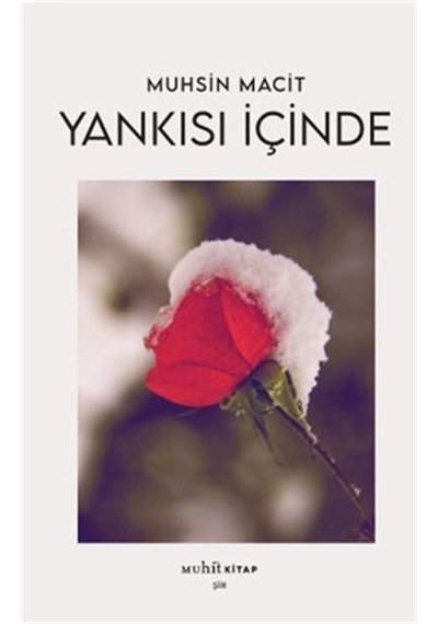 Yankısı İçinde / Prof. Dr. Muhsin Macit