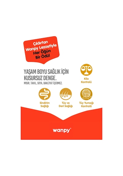 Tahılsız Hipoalerjenik Yüksek Proteinli Somonlu Yetişkin Kısırlaştırılmış Kedi Maması 8 Kg