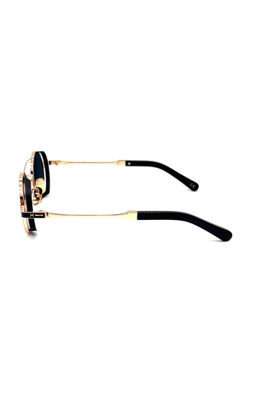 Black Blk L179 C1 Unisex Güneş Gözlüğü Altın