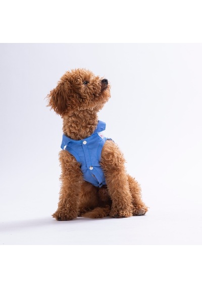 Ruby Slice Denim Karpuz Desenli Kot Kedi Köpek Gömleği-kedi Köpek Kıyafeti-kedi Gömlek-köpek Gömlek