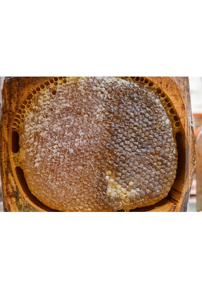 Balsev Kütük Karakovan Petek Balı 1 KG