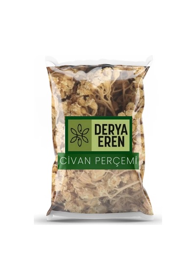 Derya Eren Civan Perçemi Achillea Millefolium 250 G