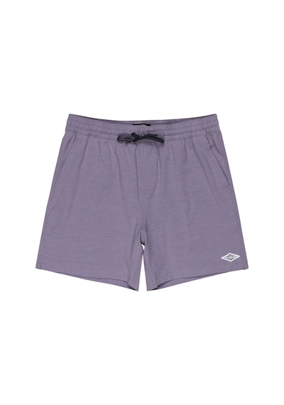 Bıllabong Billabong Every Other Day Lb Erkek Volley Short Lvn Mor