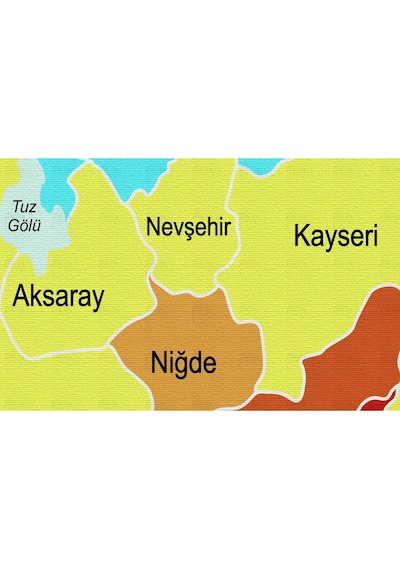 Doğaltercih Türkiye Haritası Kanvas Tablo Sınır Komşulu Eğitici ve Öğretici Dekoratif Tablo 3082