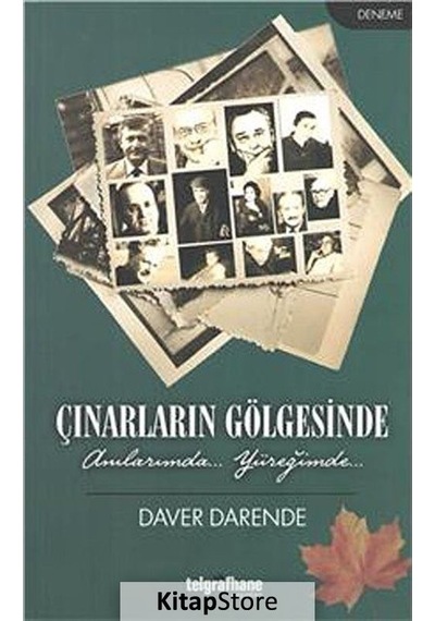 Çınarların Gölgesinde - Daver Darende - Telgrafhane Yayınları