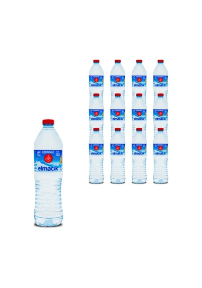 Atatürk Orman Çiftliği Elmacık Su 24 x 1 L