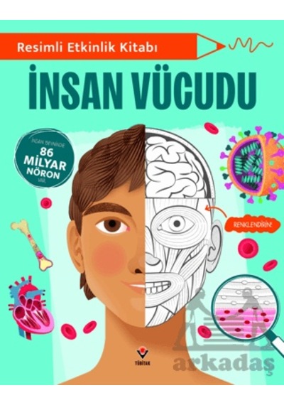 Resimli Etkinlik Kitabı - İnsan Vücudu Tübitak Yayınları