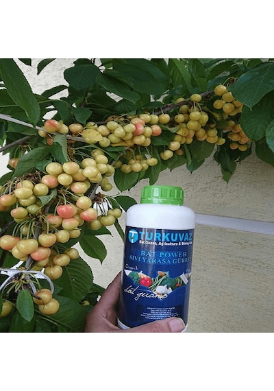 1 L Turkuvaz Bat Power Organik Sıvı Yarasa Gübresi 1 L Turkuvaz Bat Power Organik Sıvı Yarasa Gübresi