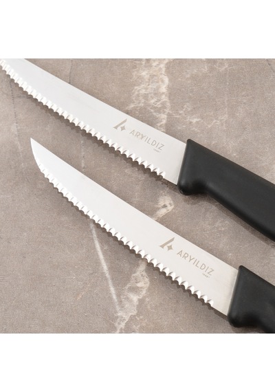 Aryıldız Daily Steak Bıçak 2 Li Siyah Çok Renkli