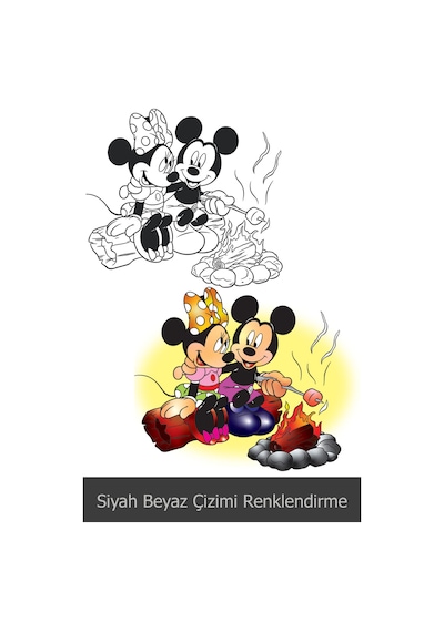 Adobe illustrator 2021 Video Ders Eğitim Seti