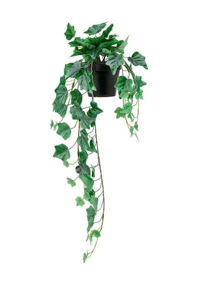Ikea Fejka Saksılı Yapay Sarmaşık 69 Cm Siyah Koyu Yeşil Siyah - Yeşil