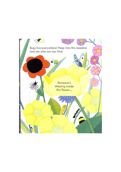 The Usborne Peep Inside Bug Homes