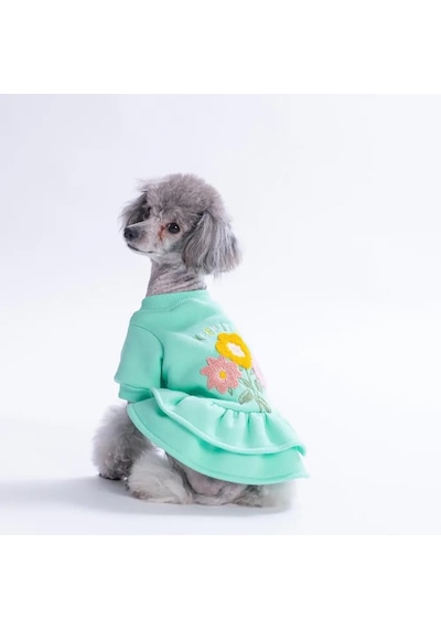 Pawstar Mint Arosa Nivalis Küçük Irk Köpek Elbisesi