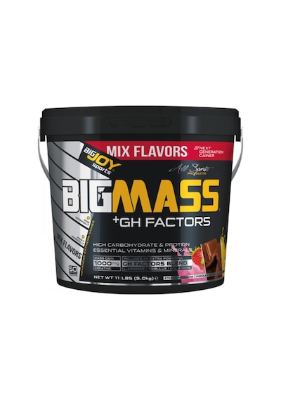 Bigjoy Sports Bigjoy Bigmass Go Gh Factors 5000 Gr 50 Servis Mass Gainer Mix