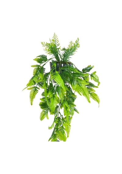 Yapay Çiçek Sarkan Boston Fern Yapraklı Bitki Küçük Siyah Saksıda Yapay Sarmaşık 55cm